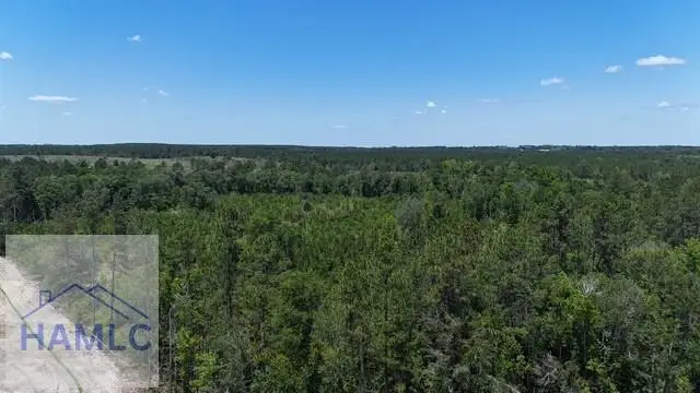 0 Oscar Tippins Road, Baxley, GA 31513 - #2