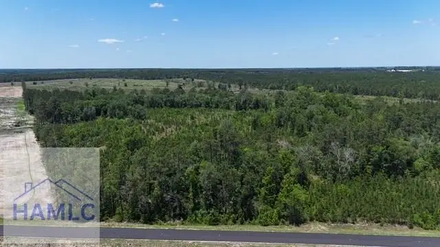 0 Oscar Tippins Road, Baxley, GA 31513 - #3