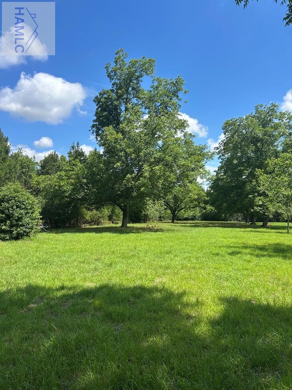 10 AC Marietta Street, Glennville, GA 30427