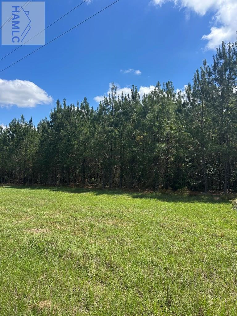 10 AC Marietta Street, Glennville, GA 30427 - #2