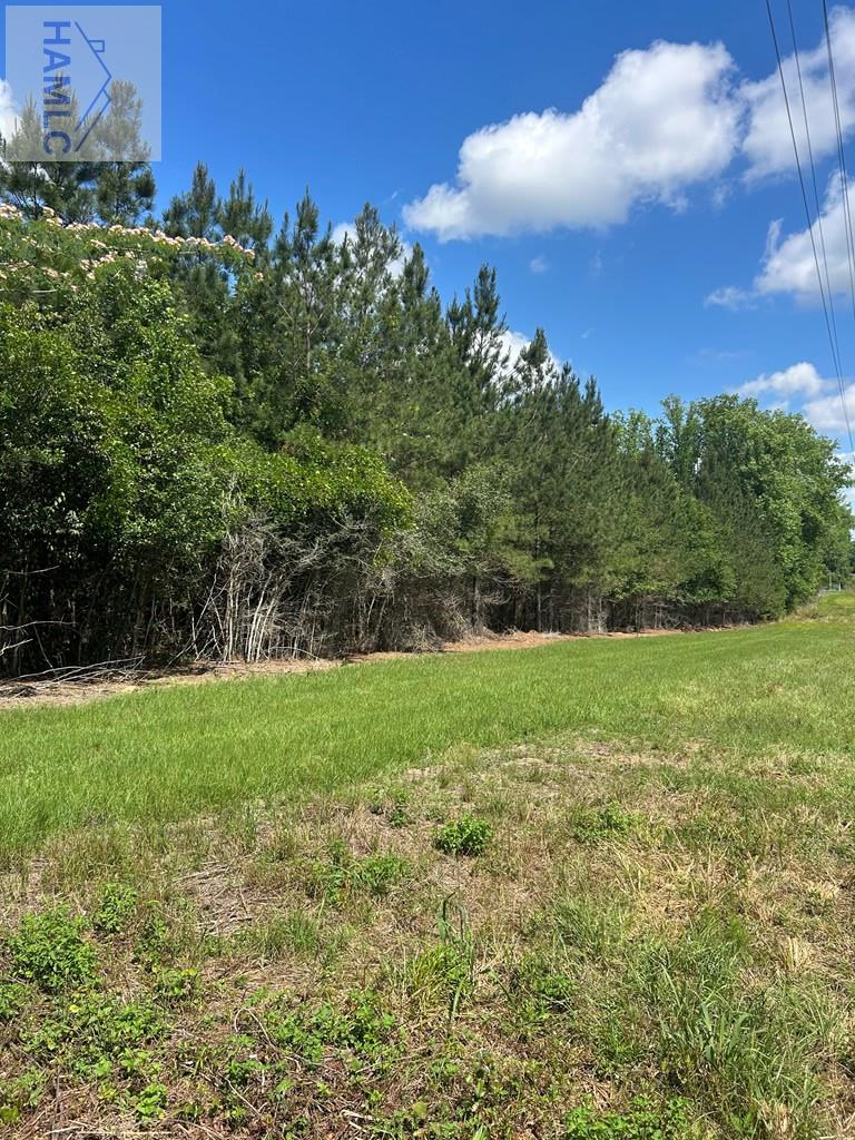 14 AC Barnard Street, Glennville, GA 30427 - #3