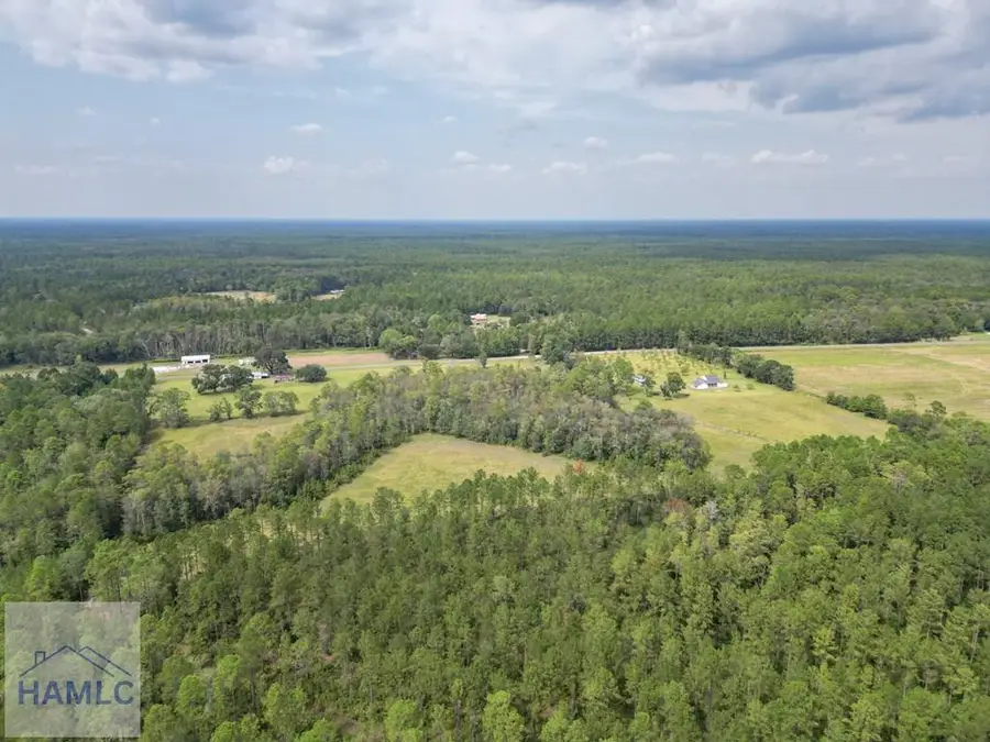 15 AC Hodges Road, Hinesville, GA 31313 - #3