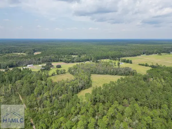 15 Acres Hodges Road, Hinesville, GA 31313