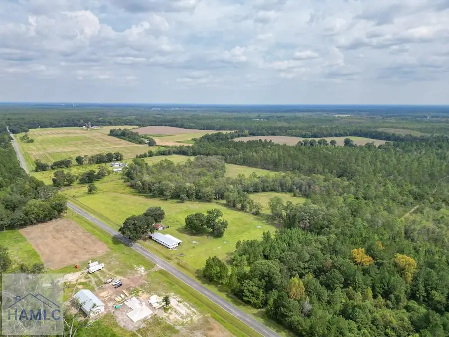 15 Acres Hodges Road, Hinesville, GA 31313 - #3