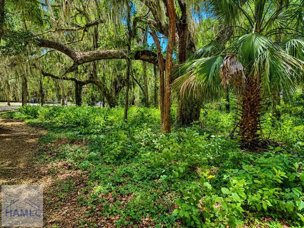 73 Tolomato Island Drive, Darien, GA 31305 - #1