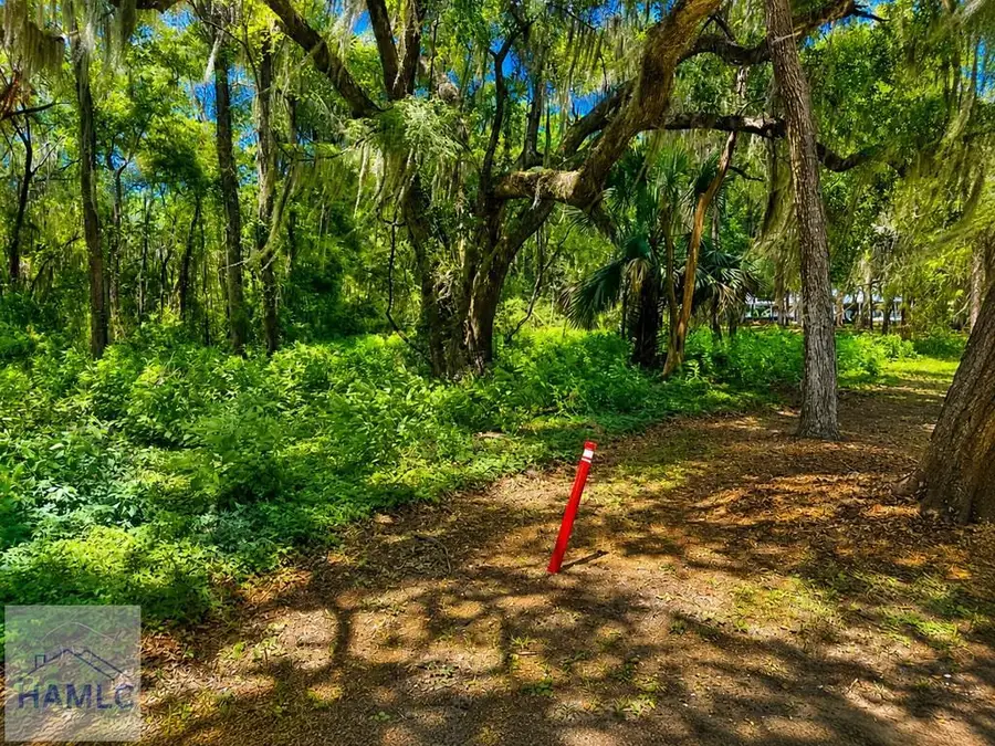 73 Tolomato Island Drive, Darien, GA 31305 - #3