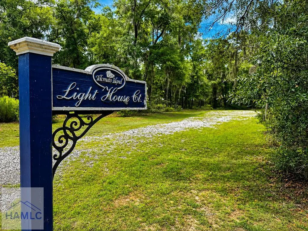 24 Lighthouse Lane, Darien, GA 31331 - #1
