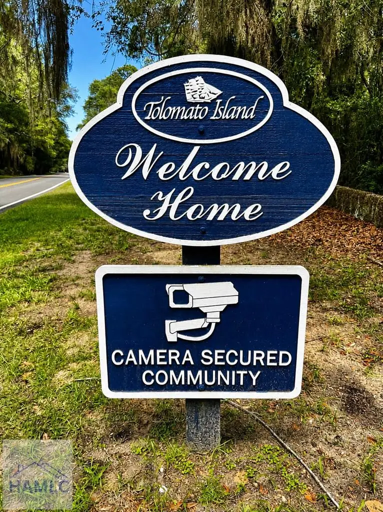 24 Lighthouse Lane, Darien, GA 31331 - #2