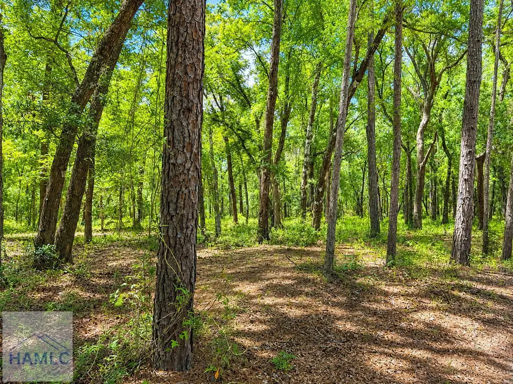 1044 Plantation Court, Darien, GA 31333 - #1