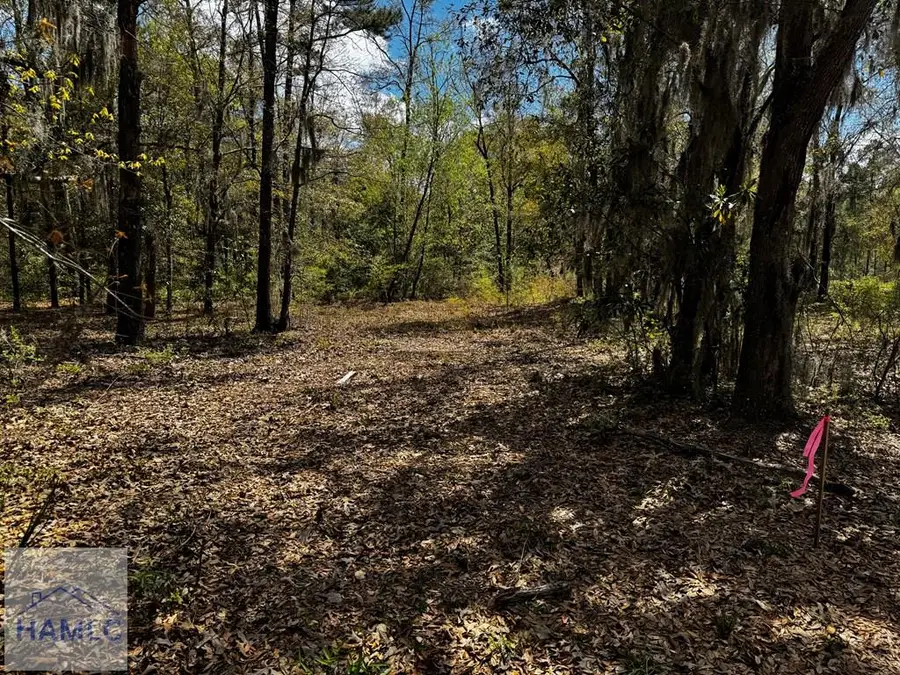 0 Hager Lane, Midway, GA 31320 - #3
