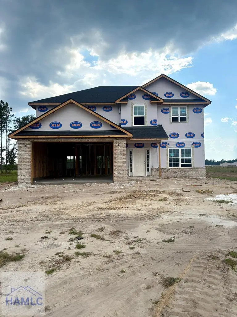 74 Blue Gill Lane, Ludowici, GA 31316 - #1