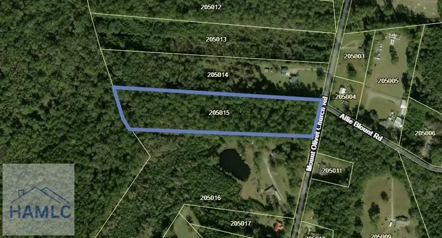 LOT 15 Mount Olivet Church Road, Fleming, GA 31309 - #1