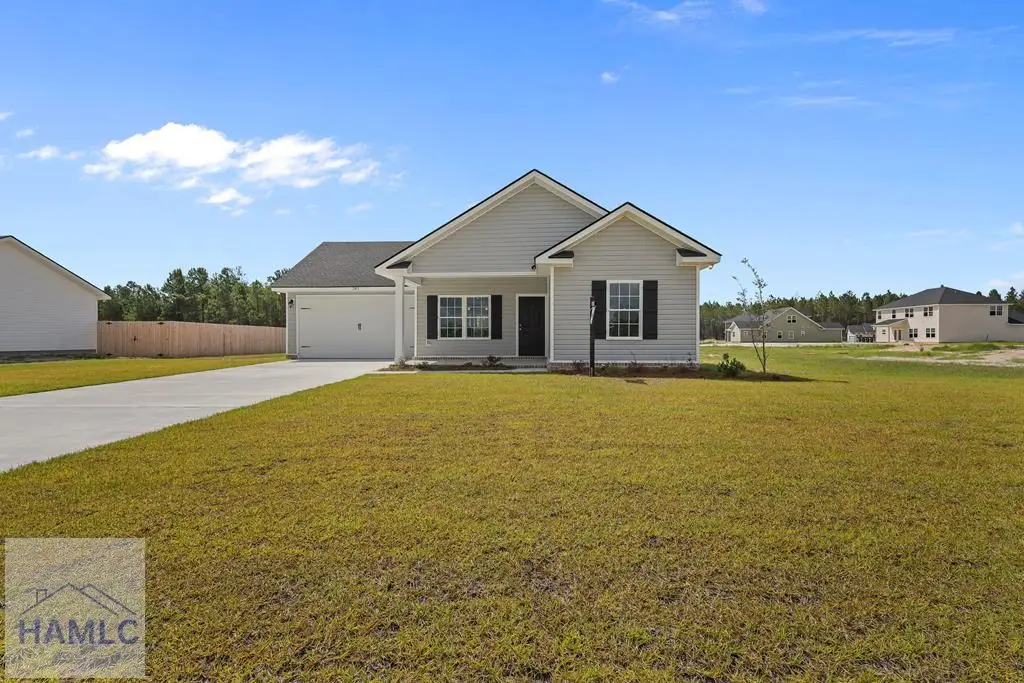 283 Freshwater Lane, Ludowici, GA 31316 - #1