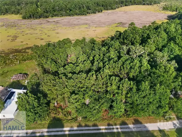 Lot #23 Barnstorm Road, Townsend, GA 31331