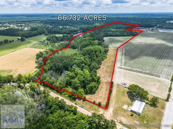 0 Nesbit Road, Odum, GA 31555