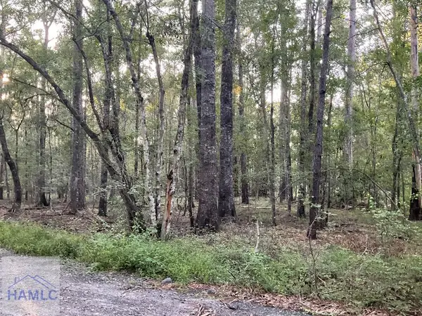 0 Cherry Lane, Hinesville, GA 31313