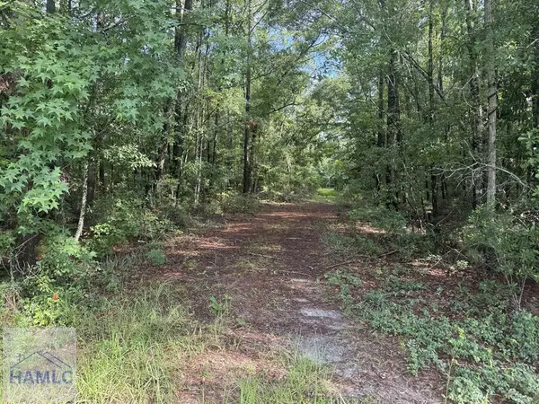 68 Johnson Road, Richmond Hill, GA 31324