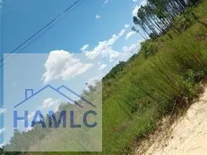 150 Kyle Staines Road, Baxley, GA 31513 - #2