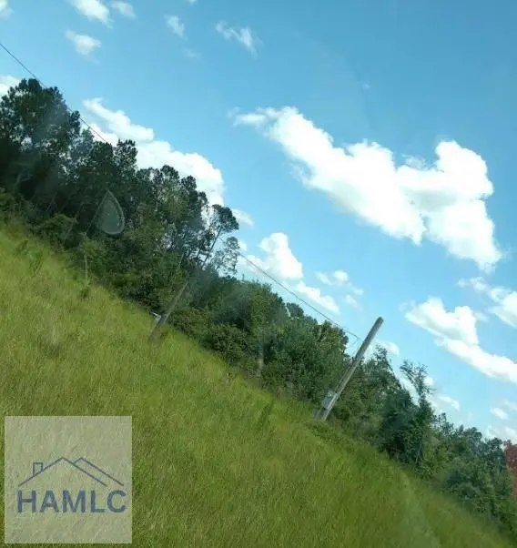 0 Rocky Road, Baxley, GA 31513 - #2