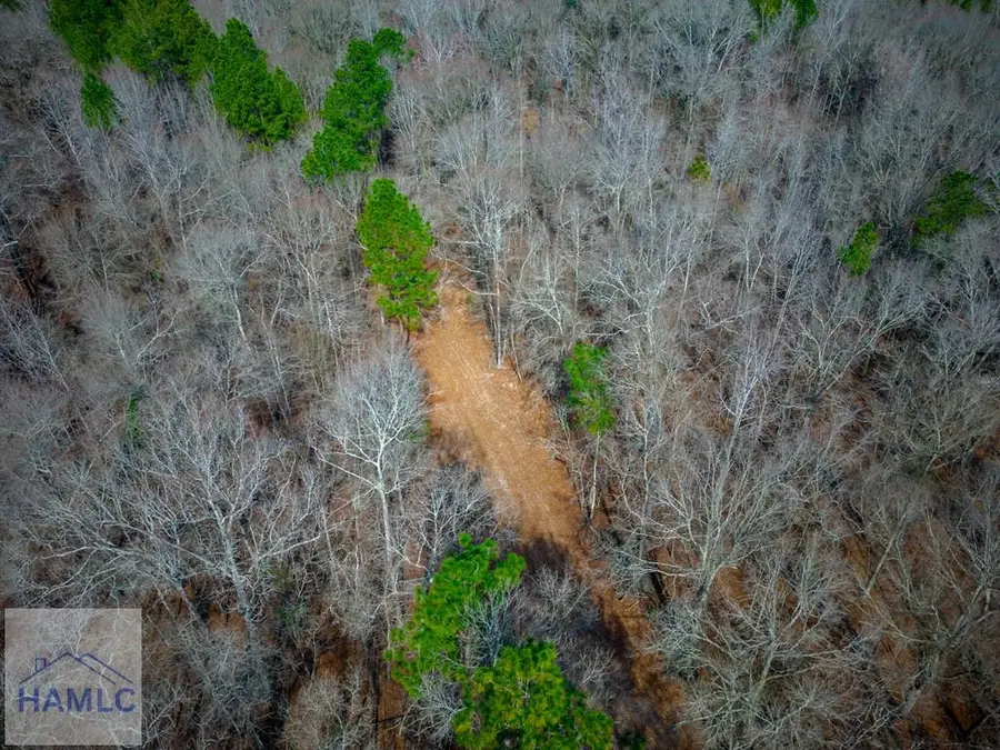0 Eastman Dublin Hwy, Cadwell City, GA 31009 - #2