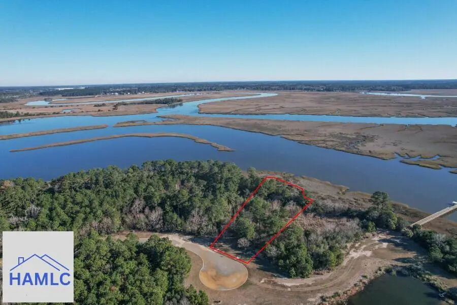 Lot 46 Laughing Gull Hideaway Drive, Midway, GA 31320 - #1