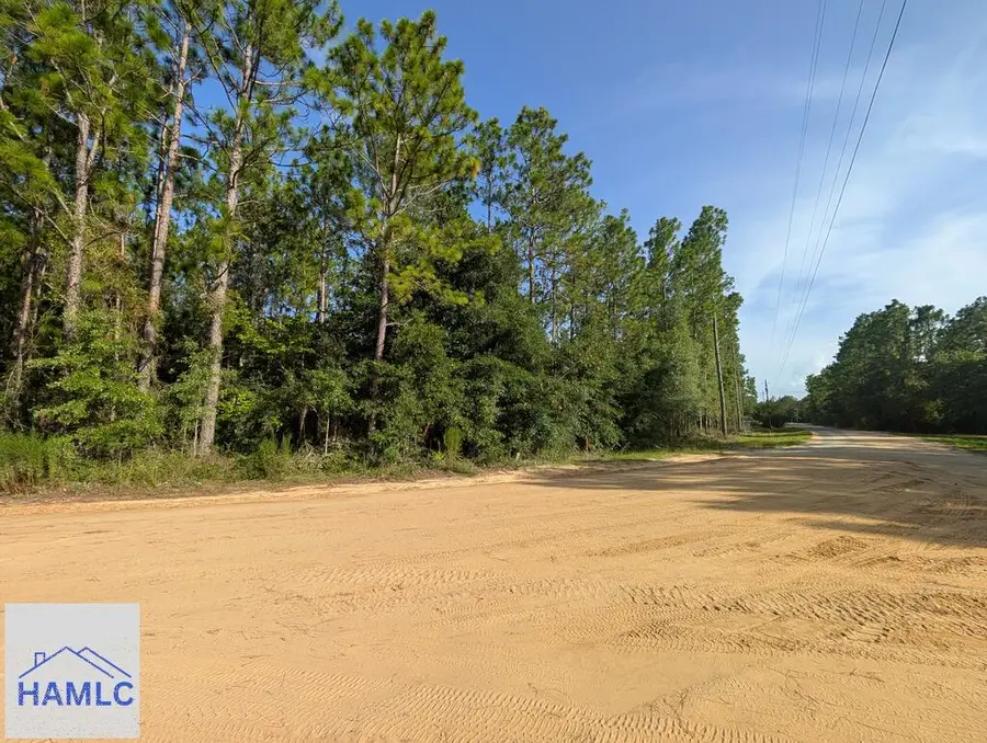 0 Church Street, Jesup, GA 31545 - #3