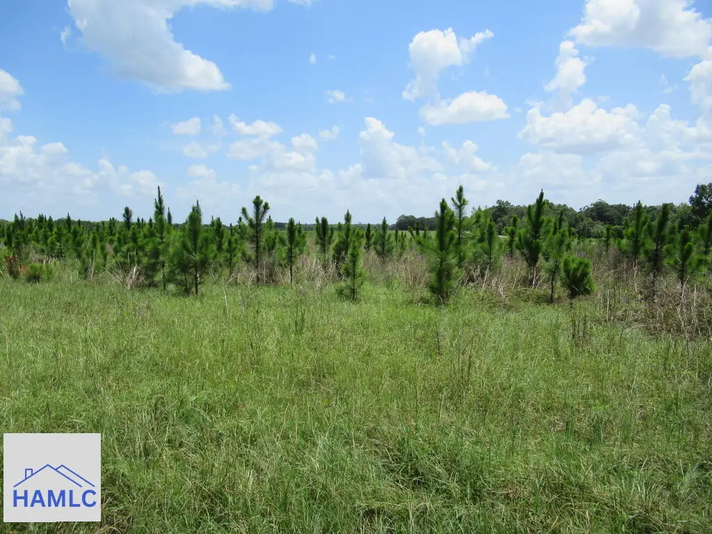 0 Pecan Road, Glennville, GA 30427 - #1