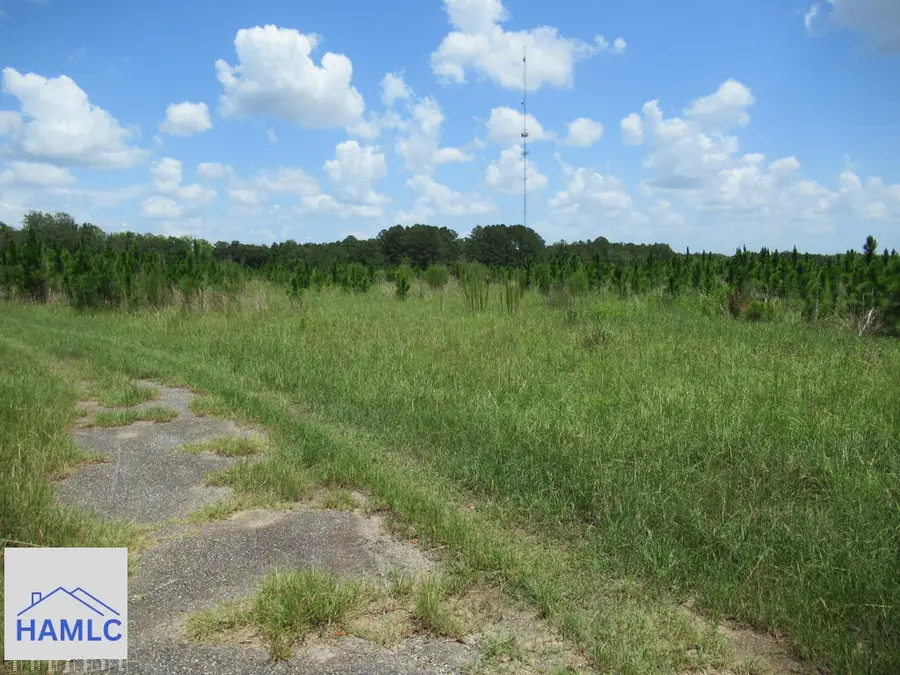 0 Pecan Road, Glennville, GA 30427 - #2