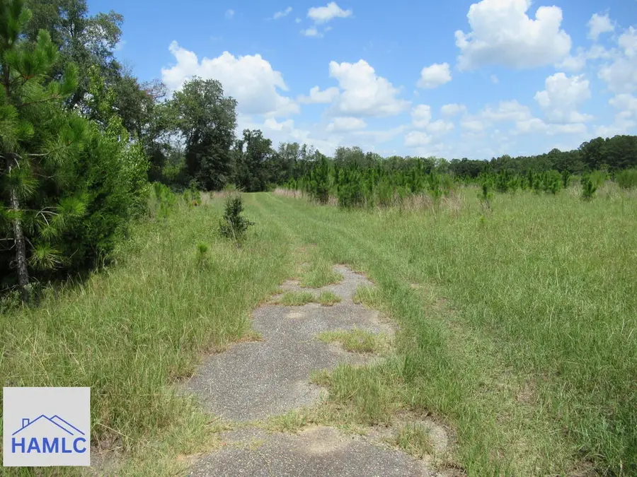 0 Pecan Road, Glennville, GA 30427 - #3