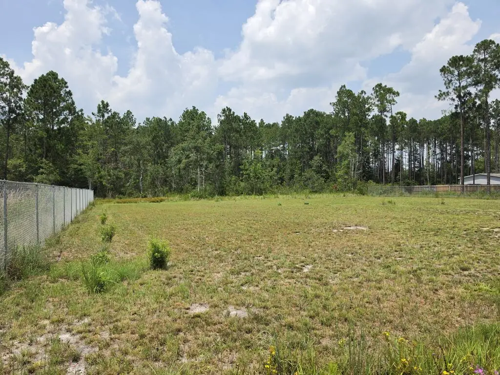 1.37 AC Bill Wells Road Ne, Ludowici, GA 31316 - #1