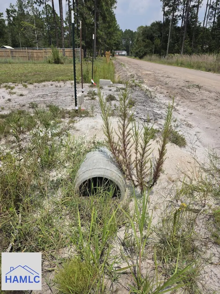 1.37 AC Bill Wells Road Ne, Ludowici, GA 31316 - #2