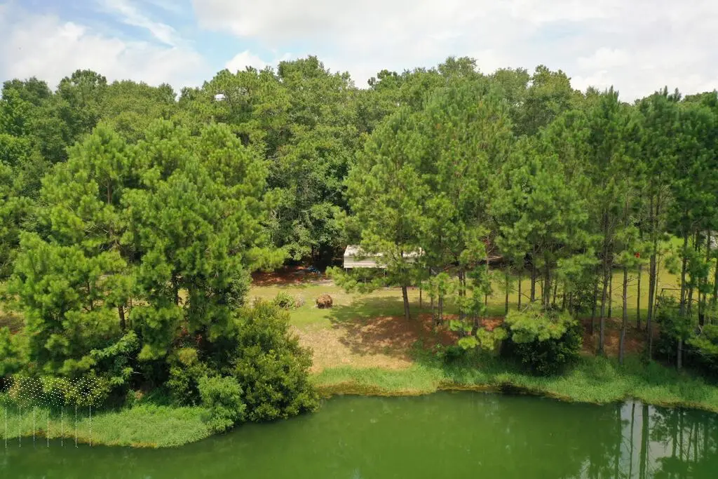 1954 Oak Level Road, Richmond Hill, GA 31324 - #1