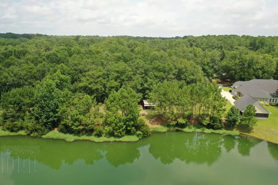 1954 Oak Level Road, Richmond Hill, GA 31324 - #2