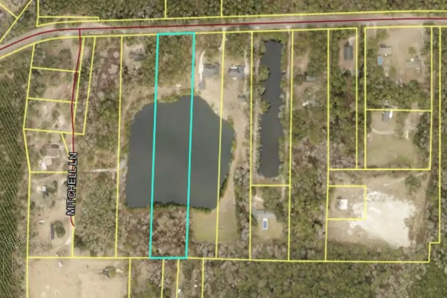 1954 Oak Level Road, Richmond Hill, GA 31324 - #3