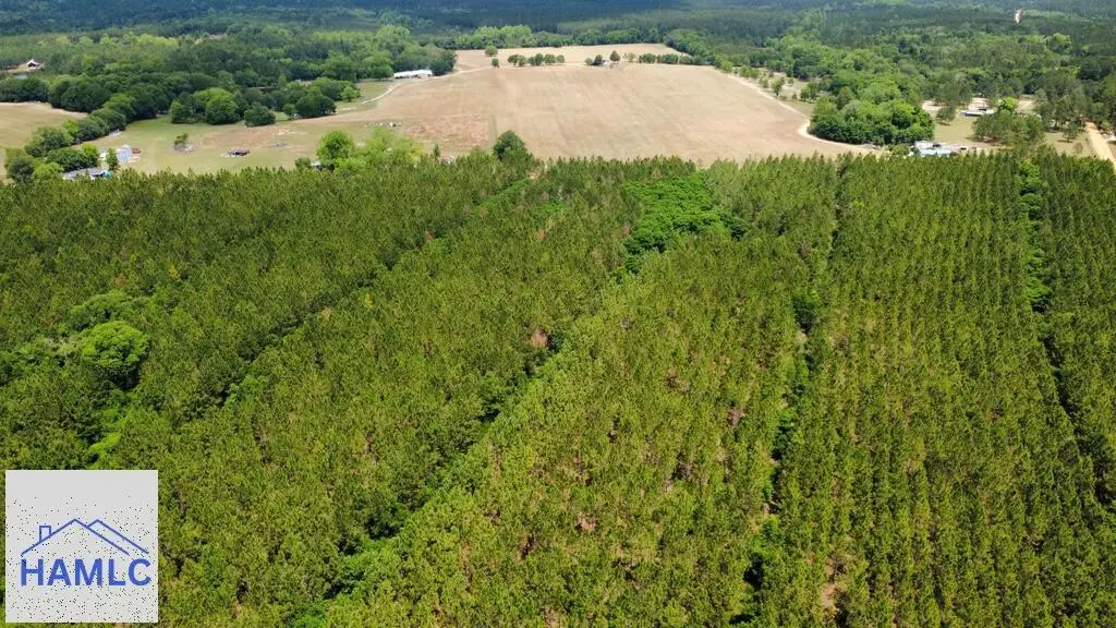 Tract 9 Sunflower Road, Fitzgerald, GA 31750 - #1