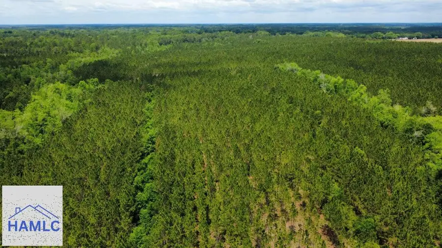 Tract 9 Sunflower Road, Fitzgerald, GA 31750 - #2