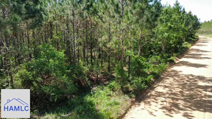 Tract 9 Sunflower Road, Fitzgerald, GA 31750 - #3