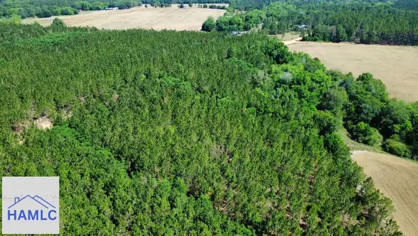 Tract 8 Sunflower Road, Fitzgerald, GA 31750