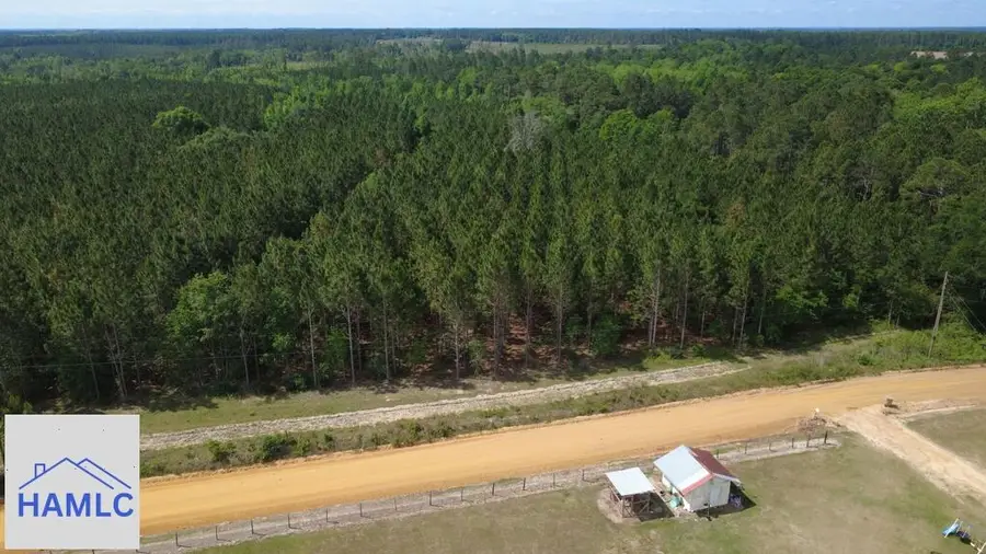 Tract 1 Sunflower Road, Fitzgerald, GA 31750 - #2
