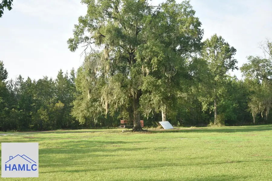 255 Archer Road Ne, Ludowici, GA 31316 - #2