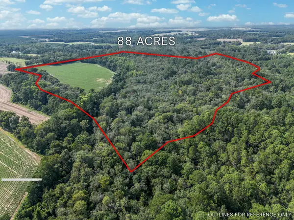 TBD New Bethel Road, Jesup, GA 31545