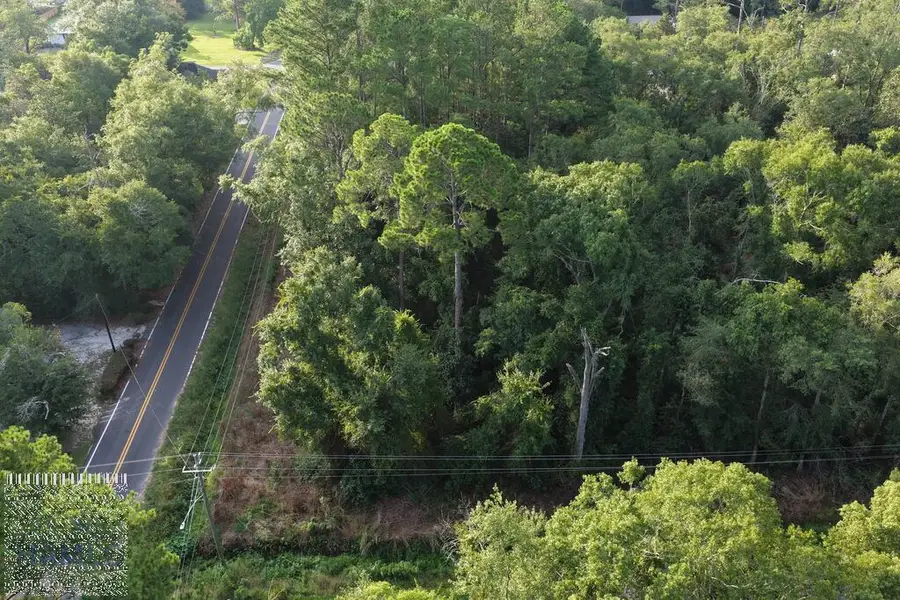 Tract 3 Brunswick Street, Jesup, GA 31546 - #3
