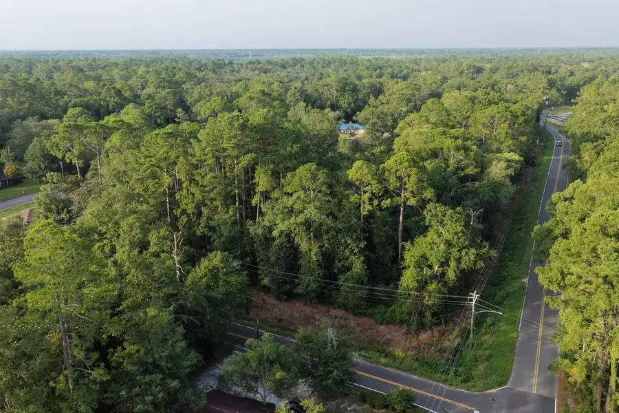 Tract 4 Brunswick Street, Jesup, GA 31546 - #3