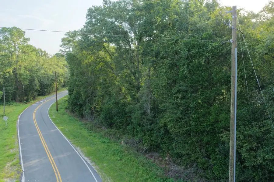 Tract 5 Brunswick Street, Jesup, GA 31546 - #3