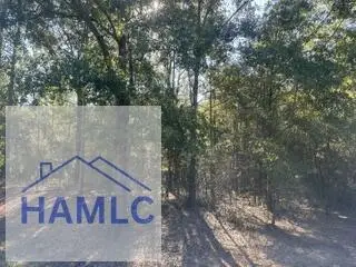 3.76 Ac. Ga Highway 144, Glennville, GA 30427 - #1