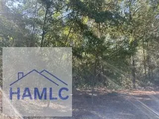 3.76 Ac. Ga Highway 144, Glennville, GA 30427 - #2