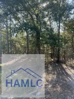 3.76 Ac. Ga Highway 144, Glennville, GA 30427 - #3