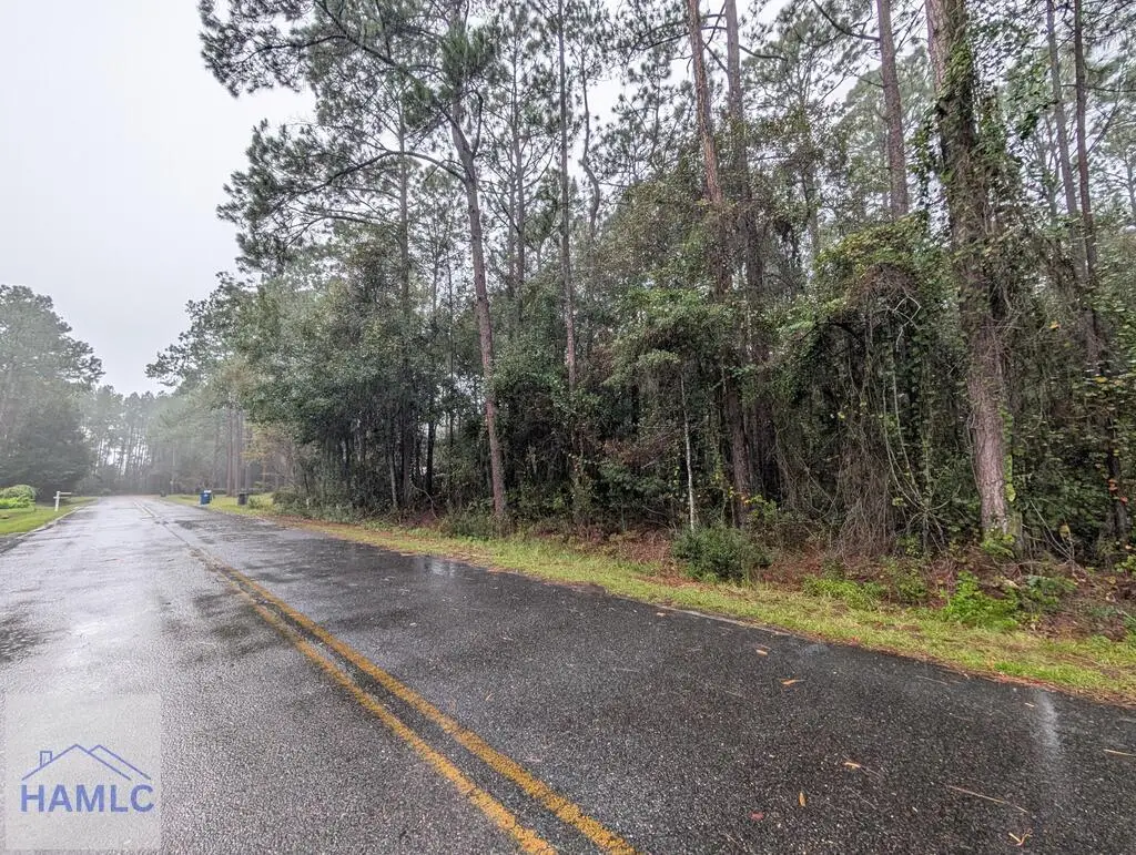 0 Knotty Pine Road, Jesup, GA 31545 - #1
