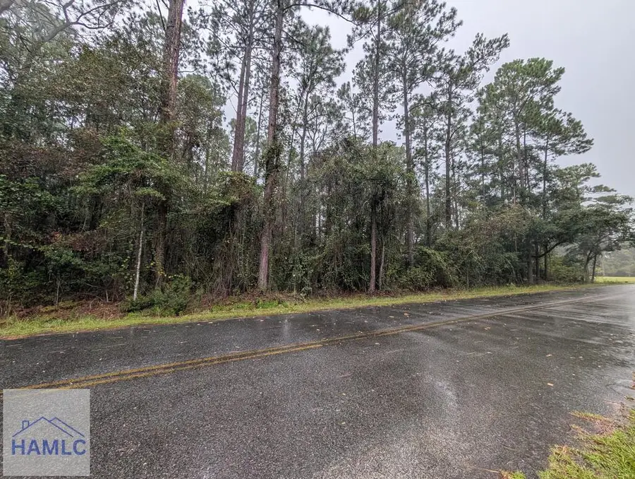 0 Knotty Pine Road, Jesup, GA 31545 - #2