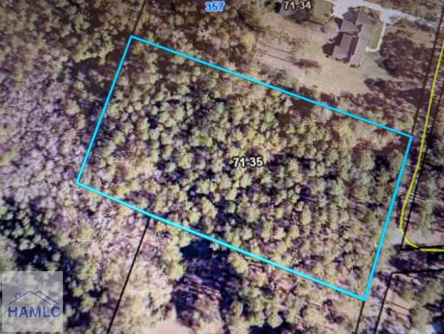 0 Knotty Pine Road, Jesup, GA 31545 - #3